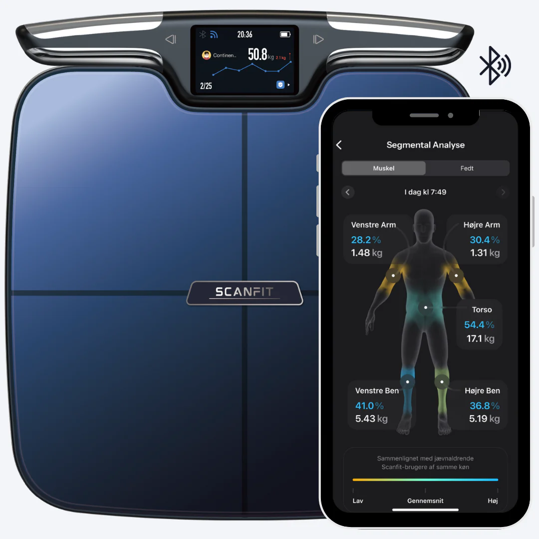 Review of Scanfit Bodypilot